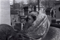 http://www.virguleflottante.com/files/gimgs/th-13_Cimetiere5.jpg