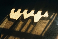 http://www.virguleflottante.com/files/gimgs/th-18_F1020020.jpg