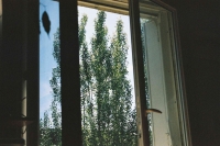 http://www.virguleflottante.com/files/gimgs/th-18_F1030011.jpg