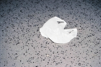 http://www.virguleflottante.com/files/gimgs/th-20_F1030018.jpg