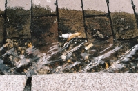 http://www.virguleflottante.com/files/gimgs/th-23_F1010004.jpg