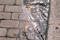 http://www.virguleflottante.com/files/gimgs/th-23_F1010005.jpg
