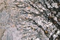 http://www.virguleflottante.com/files/gimgs/th-23_F1010006.jpg