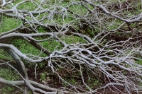 http://www.virguleflottante.com/files/gimgs/th-26_IMG017.jpg