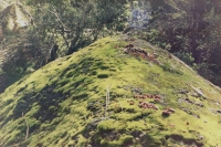 http://www.virguleflottante.com/files/gimgs/th-26_IMG021.jpg