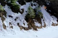 http://www.virguleflottante.com/files/gimgs/th-26_IMG0263.jpg