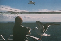 http://www.virguleflottante.com/files/gimgs/th-27_pigeon2.jpg