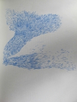 http://www.virguleflottante.com/files/gimgs/th-62_IMG_0365.jpg