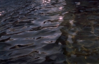 http://www.virguleflottante.com/files/gimgs/th-7_luco.jpg