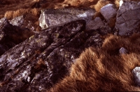 http://www.virguleflottante.com/files/gimgs/th-8_Untitled11D.jpg
