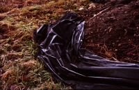 http://www.virguleflottante.com/files/gimgs/th-8_Untitled12.jpg