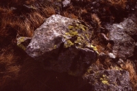 http://www.virguleflottante.com/files/gimgs/th-8_Untitled16_r.jpg